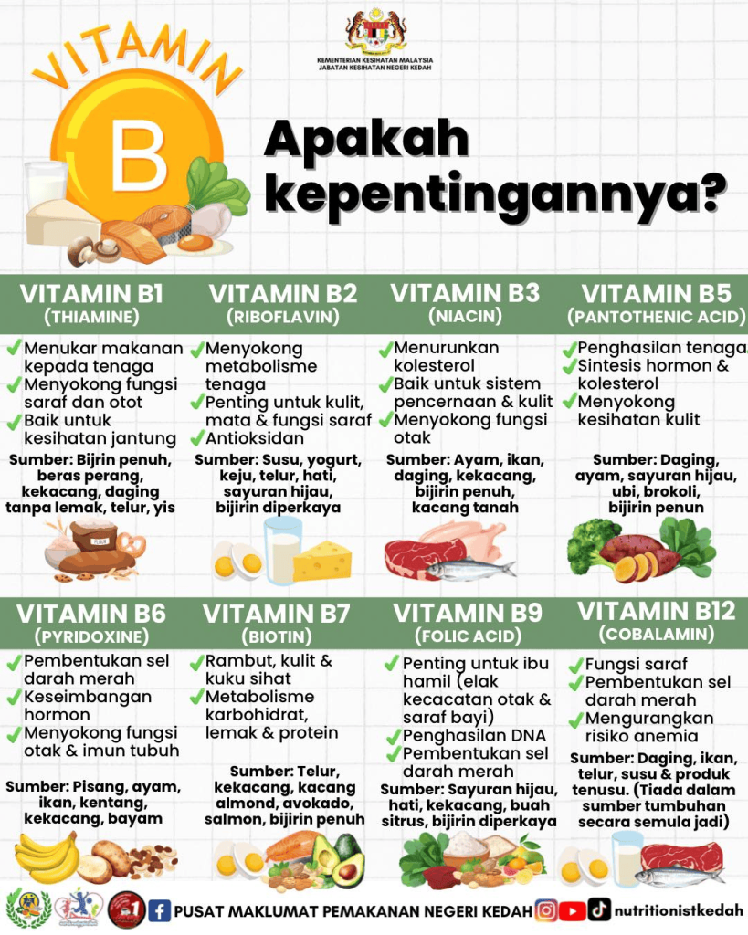 Jenis, Fungsi & Contoh Sumber Makanan